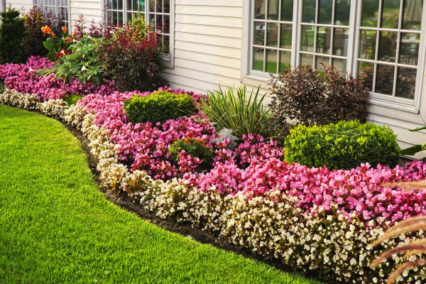 Garden Landscape Design in Abilene