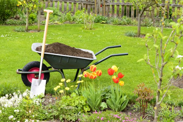 Spring Yard Renovation in Abilene