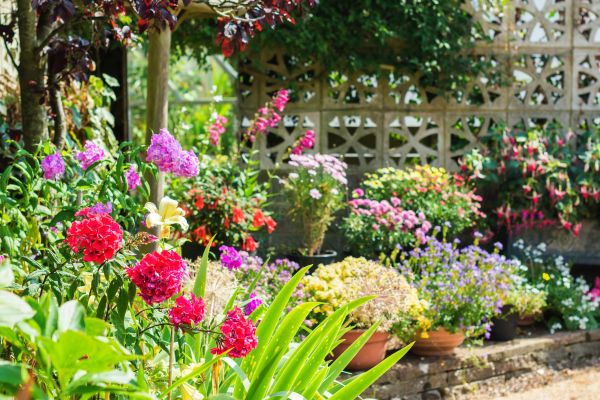Spring Garden Maintenance in Abilene