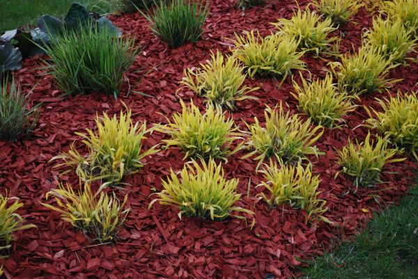 Red Mulch Installation in Abilene