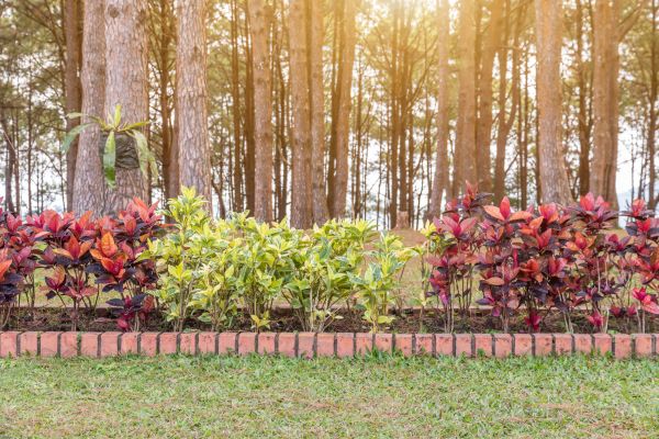 Small Garden Landscaping in Abilene