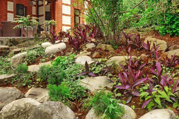 Rock Garden Landscaping in Abilene