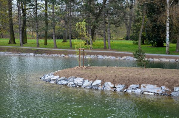 Pond Landscaping Service in Abilene