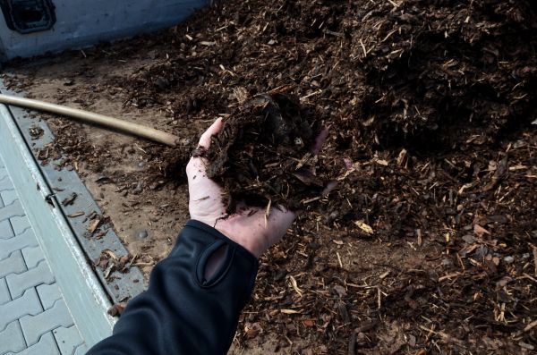Condo Mulching in Abilene