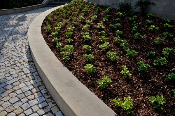 Commercial Mulching in Abilene