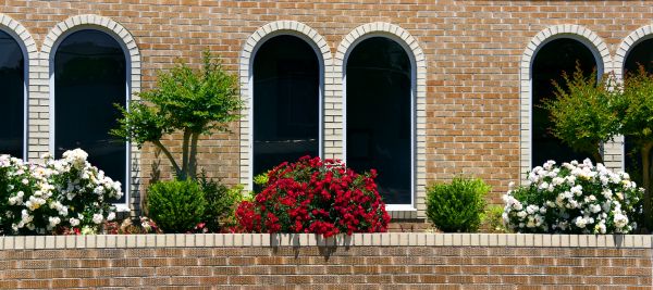 Church Landscaping in Abilene