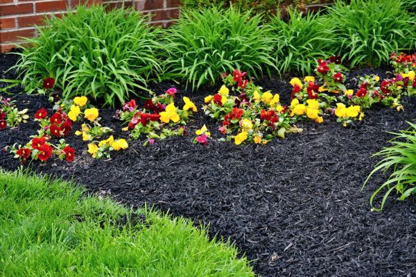 Apartment Mulching in Abilene