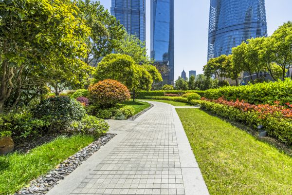 Commercial Landscaping in Abilene